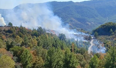 Alanya’da Zirai Alanda Yangın Kontrol Altına Alındı