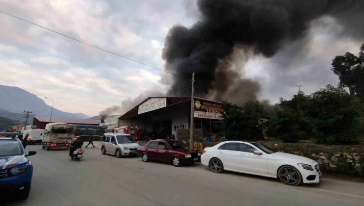 Alanya’da Mobilya Deposunda Yangın: 3 İş Yeri ve Muz Serası Zarar Gördü